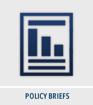 policy briefs