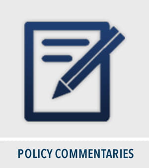 policy commentaries